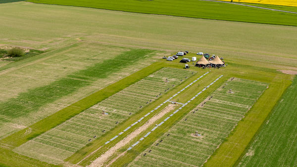 Smartfield Still