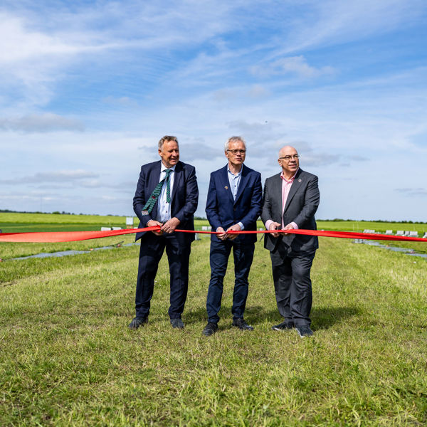 Smartfield 140525 31