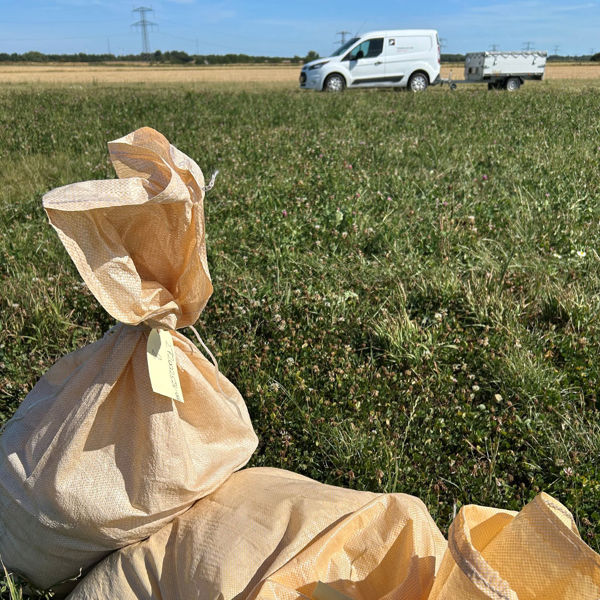 Smartfield Supersite B 5
