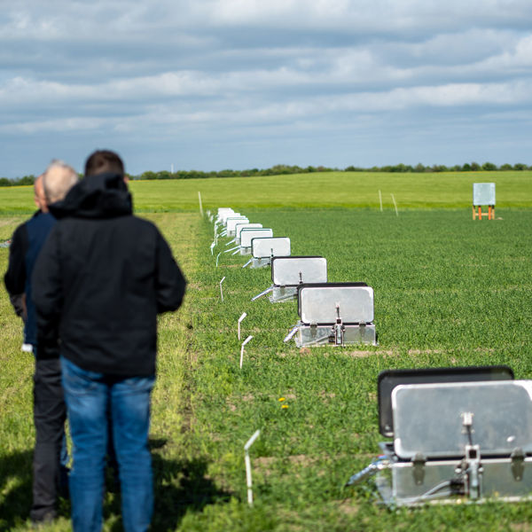 Smartfield 140525 6