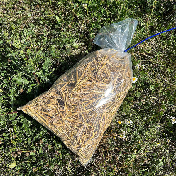 Smartfield Supersite B 3