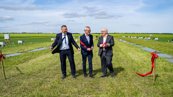 Smartfield 140525 32