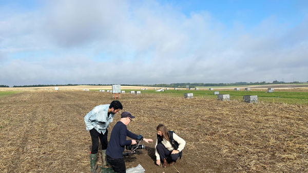 Smartfield 8