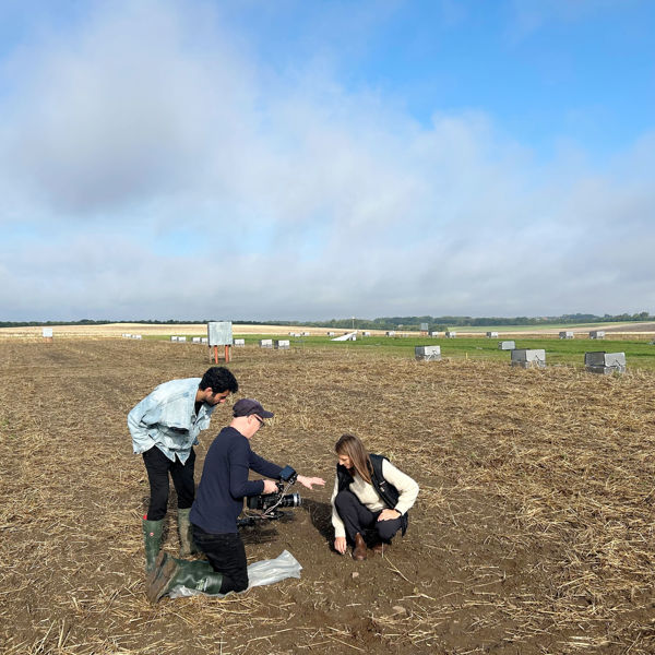 Smartfield 8