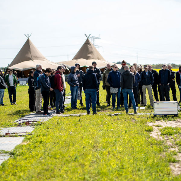 Smartfield 140525 20