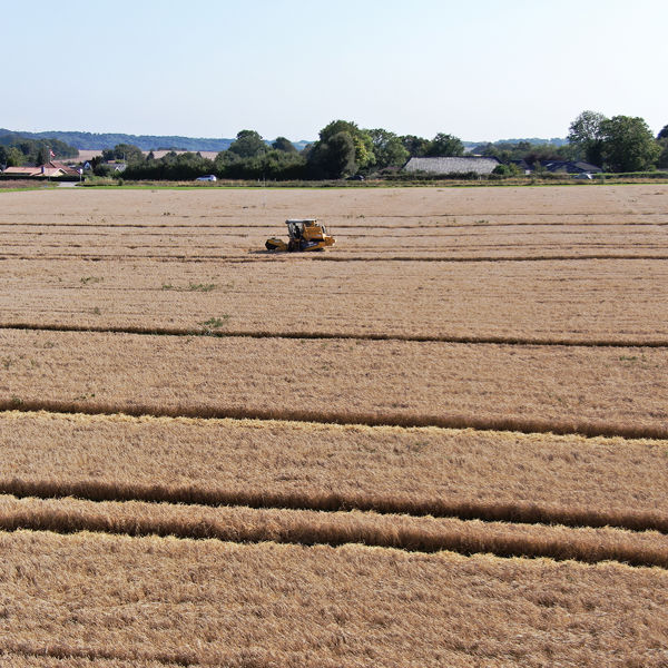 DJI 20250813163644 0041 Z