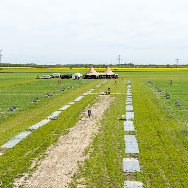 Smartfield 140525 41