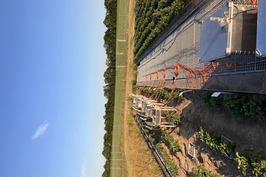 Autochambers+Extension 5