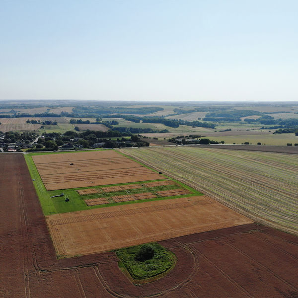 DJI 20250813160611 0015 W