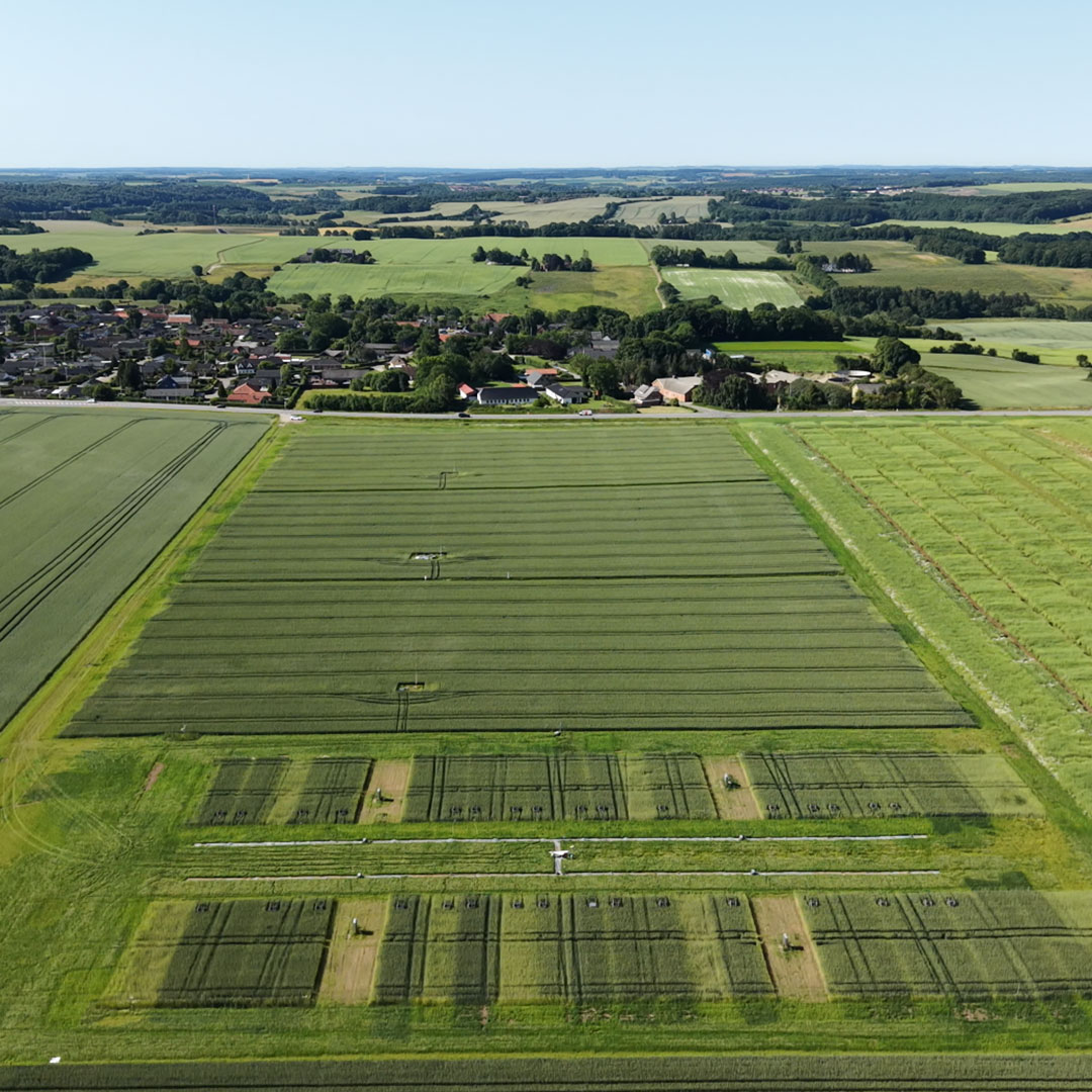Review Three Decades Of Soil N2O Research—Insights And Gaps