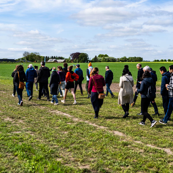 Smartfield 140525 33