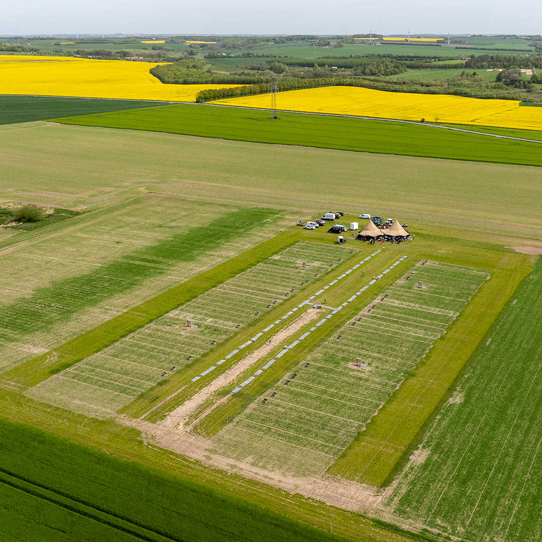Smartfield Still