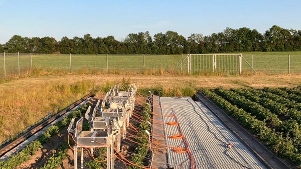 Smartfield Grand Opening 14 May